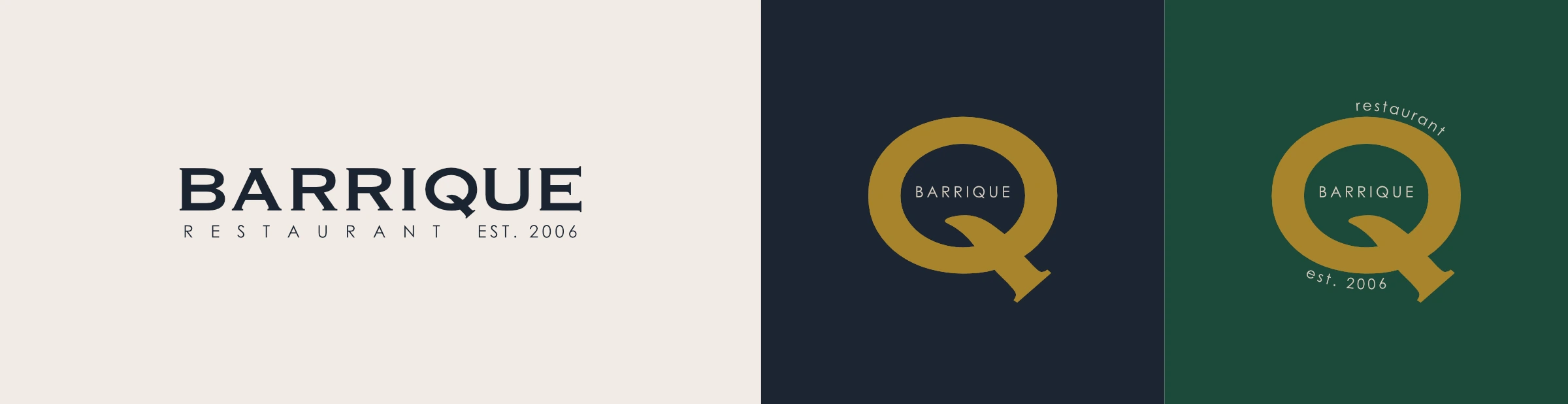 BARRIQUE logo variants on light, dark and green backgrounds